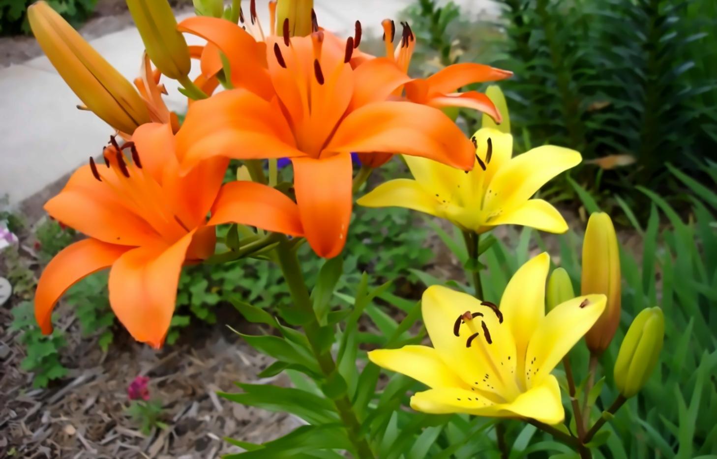 Advanced solar panel installation and monitoring systems