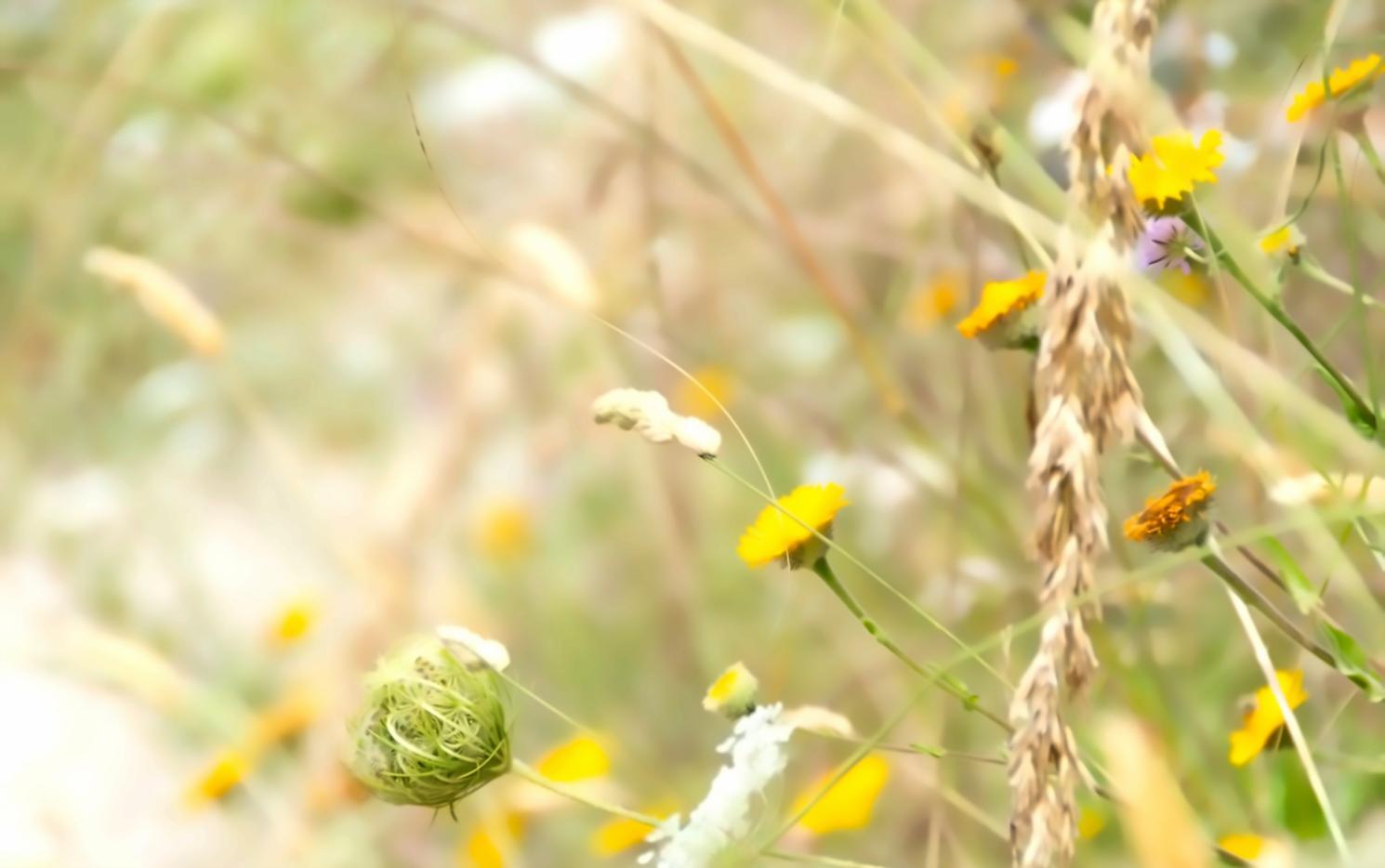 Velyntisari green technology education platform