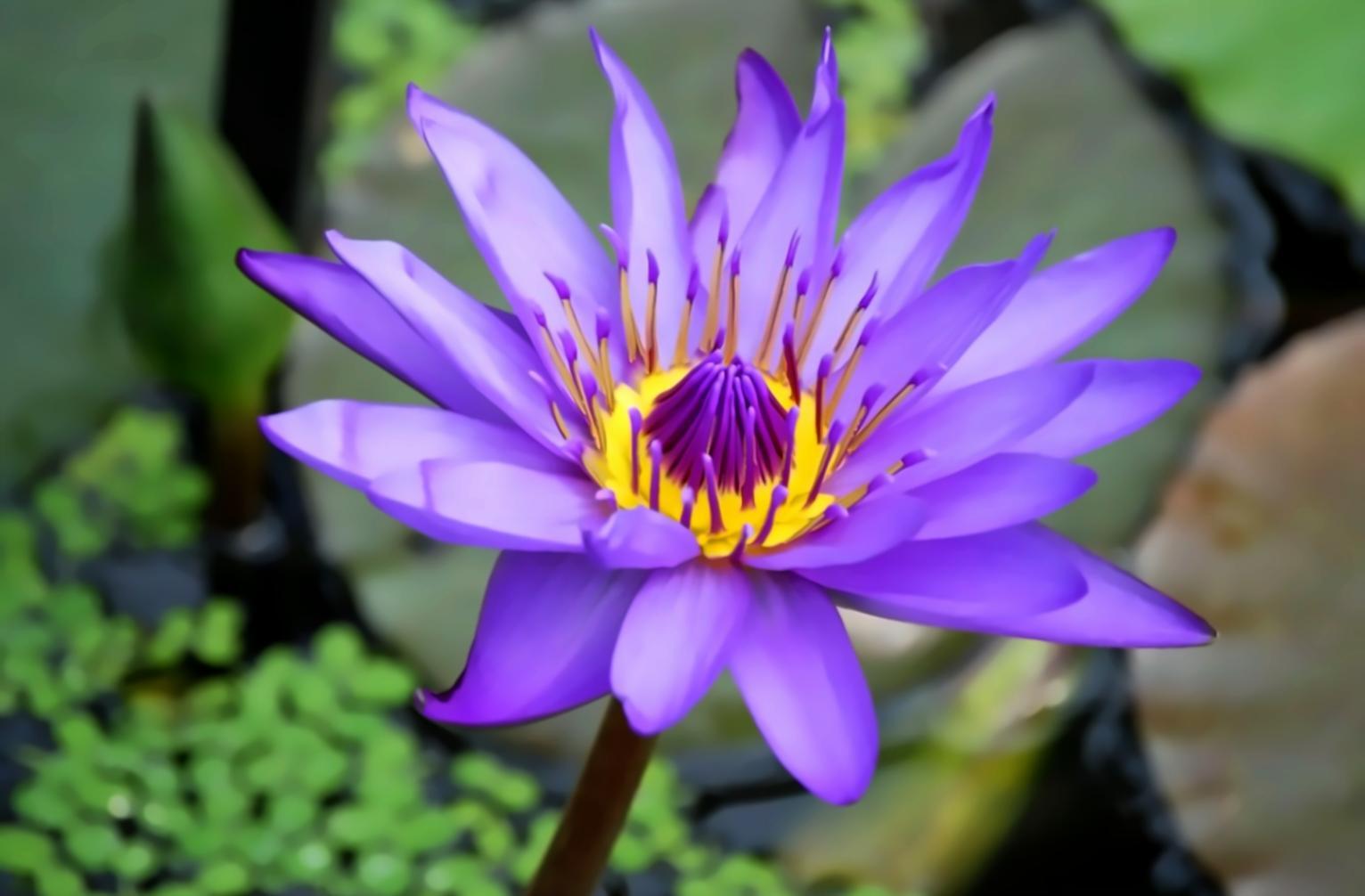 Battery storage systems for renewable energy